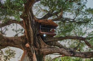 Wassado Cultural Lodging - 3