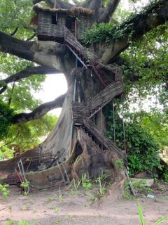 Wassado Cultural Lodging - 2
