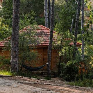 La Maison de la Forêt - 3