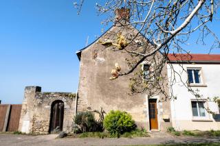 Chambres d'hôtes Le Plessis - Frossay - 6