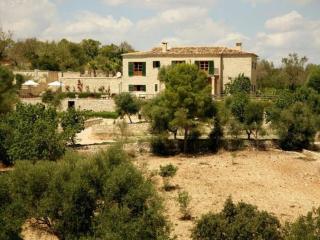 Villa Son March casa con piscina en Petra - 7