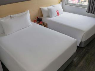 Ibis Chihuahua - 2