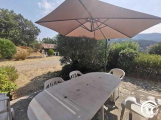 Le jardin des loriots - 4