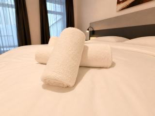 Two Master Suites near MuseumsQuartier - 7