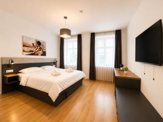 Two Master Suites near MuseumsQuartier - 2