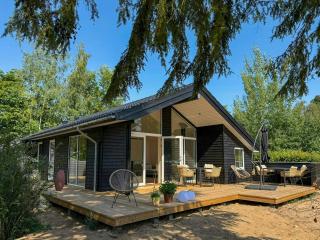 Newly built house by forests in Djursland - 9