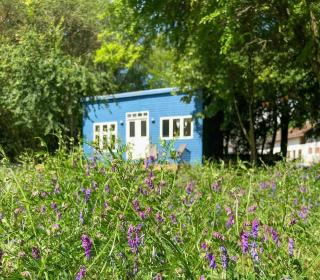 Tiny House in the middle of nature near Praesto - 9