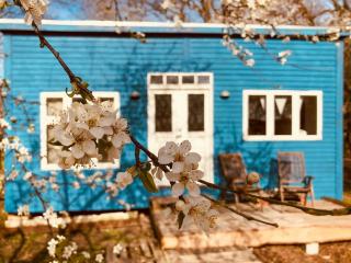 Tiny House in the middle of nature near Praesto - 1
