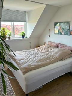 Bright flat with skyline and Norrebro views - 2