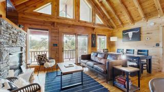 Lakefront Cabin & Cozy Lakeview Cottage - Mills River - 5