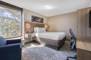 SureStay Plus Hotel by Best Western Chicago Lombard - 9