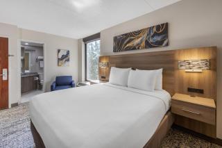 SureStay Plus Hotel by Best Western Chicago Lombard - 8