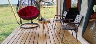 Taste Of Serengeti Luxury Safari Camp - 7