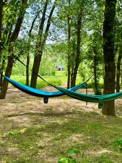 Perfect Perch at Three Suns Cabins - 1