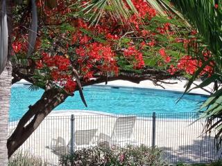 Duplex de charme avec piscine à deux pas de la plage - 0