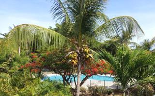 Duplex de charme avec piscine à deux pas de la plage - 1
