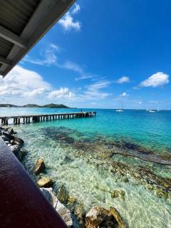 West Indies Nest - 2