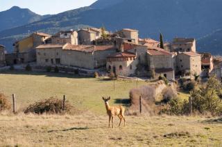 Apartaments Cal Climens - Cadí - 9