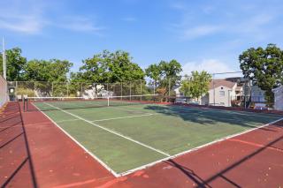 Dream Condo with Perfect Location for All The Fun! - 6