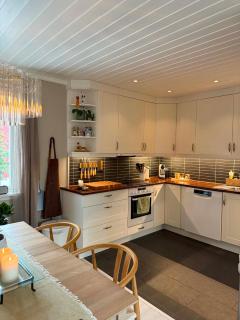 Spacious Tromsø Home with Sauna, Fireplace & View - 3