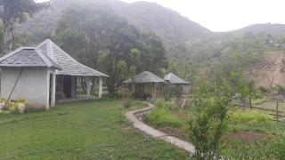 Bodhivan Farmstays - 9