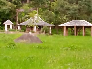 Bodhivan Farmstays - 3