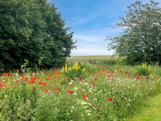 3 Bed in Walberswick oc-spinn - 9
