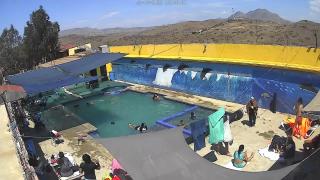 Cabana#2 - 8