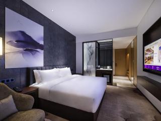 Mercure Shenzhen Longgang - 1