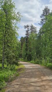 Chalet Norva 2 - 3