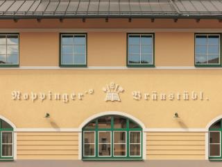 Noppinger Grödig - 6
