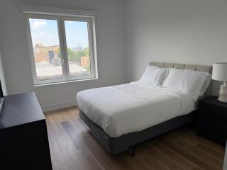 Spacious 2BR Apartment Steps from UIC Rush Stroger Hospital and Restaurant Row - 9