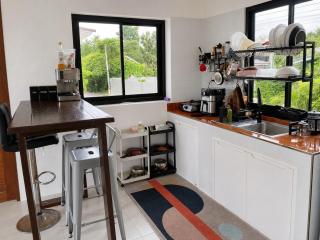 Quiet Central 2BR House - Jungle View - 4