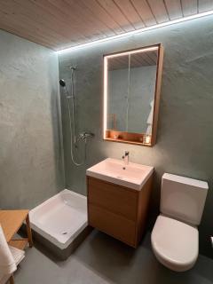Apartment in Maienfeld - 3