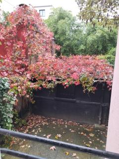 Jardinet des Lilas - 9