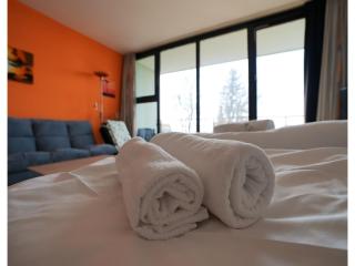 Studio Rainer mit Pool und Sauna - 2