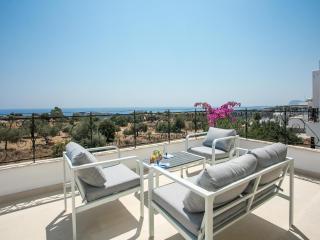 Hillside Villa Near Faliraki Beach - 3
