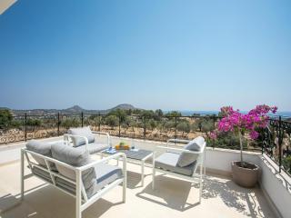 Hillside Villa Near Faliraki Beach - 8