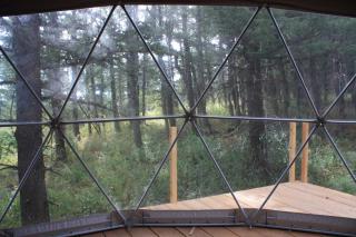 Kelly Canyon Dome 3 - Forest View - 5