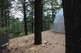 Kelly Canyon Dome 3 - Forest View - 1