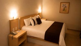 Hotel Vila Aguascalientes - 3