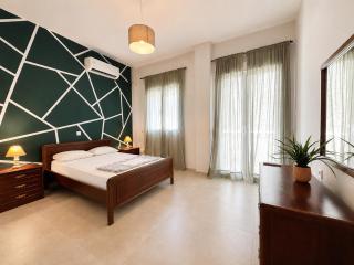 Apartment 105 sq.m. near center - 9