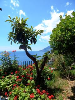 Amalfi View Cottage - Amalfi - 8