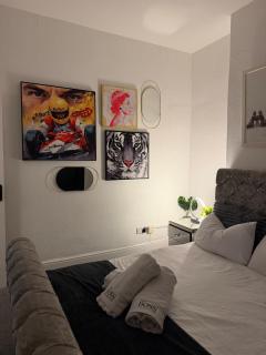City Centre flat, Near Stadium & castle, Sleeps 4 - 8