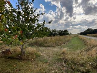 Lovely Holiday Home For Peace And Nature - 8