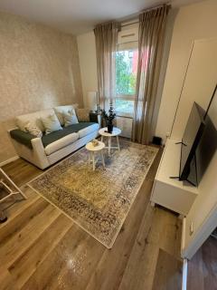 Les 3 Lys Bel appartement près de Bale - 0