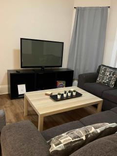 Pet-Friendly Apartments Near Brady St Nightlife - 5