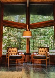 Mid-century Cabin Hideaway - Hot Tub & Fire Pit - 5