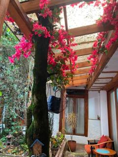 Homely suit in Cuenca - 6