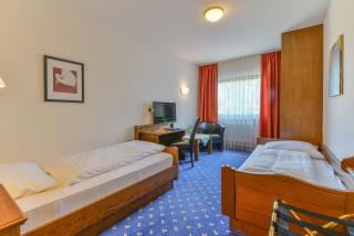 Hotel Zur Mühle - Bad Brückenau - 4